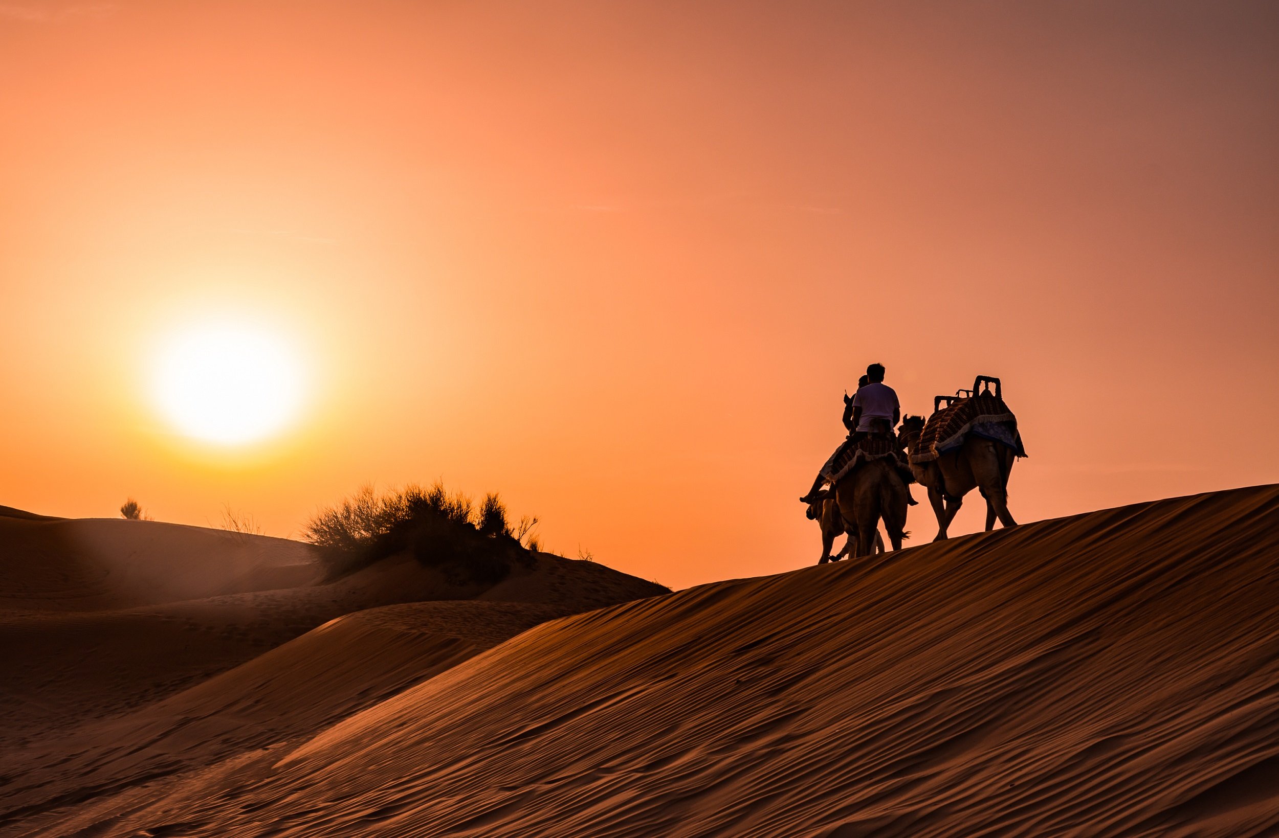 Red Dune Safari, Sandboarding, Camel Ride & Bbq Experience From Dubai