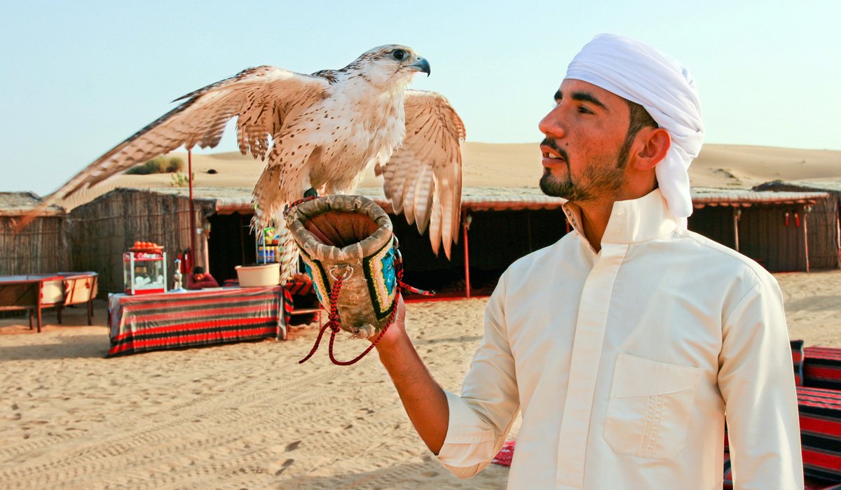 Red Dune Safari, Sandboarding, Camel Ride & Bbq Experience From Dubai_101_7