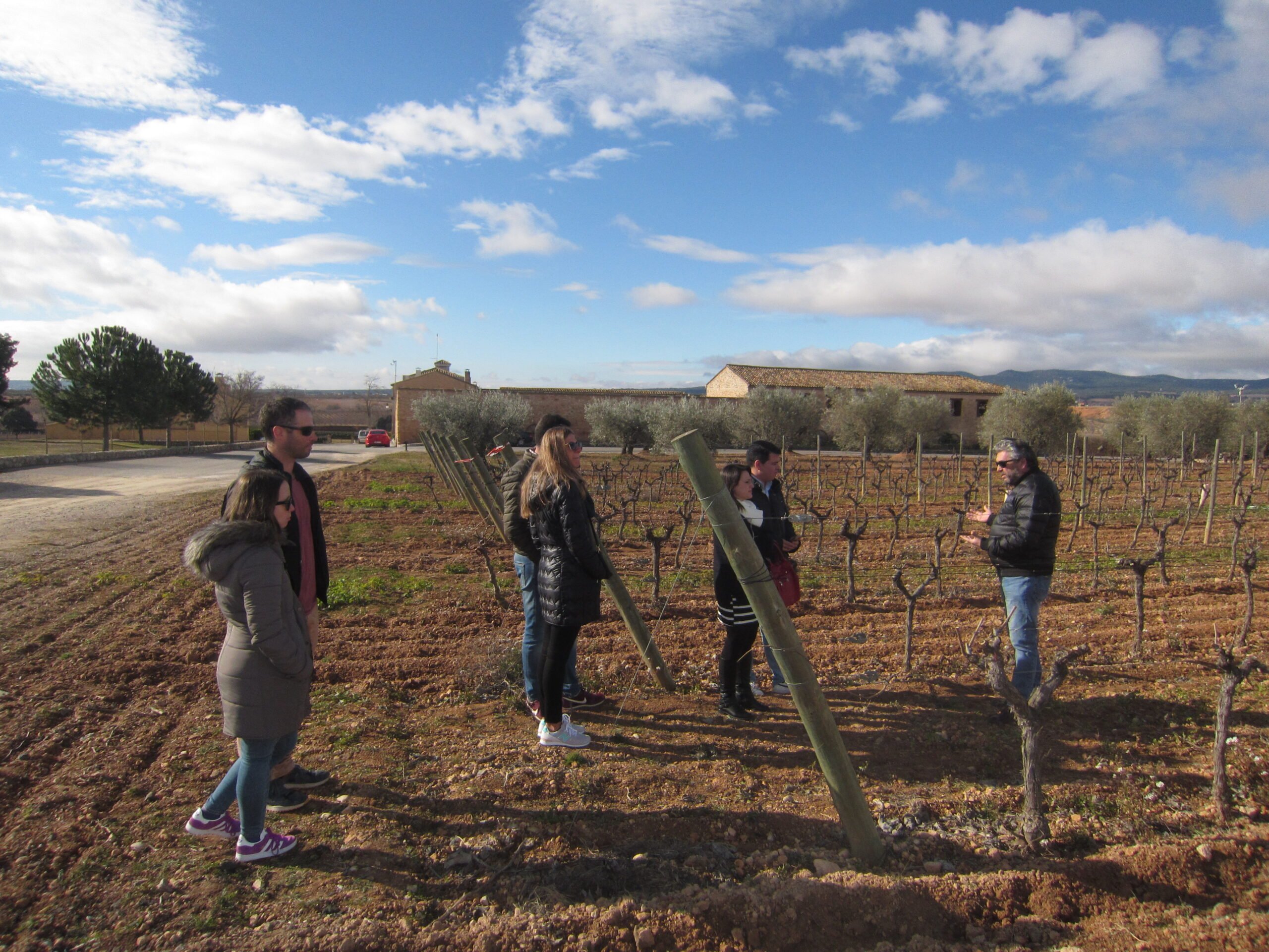 Learn About The Grape Varieties In Our Half Day Wine Tour In Valencia