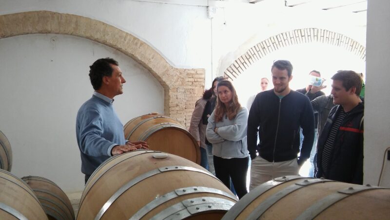 Visit Valencia Best Wineries In Our Half Day Wine Tour In Valencia