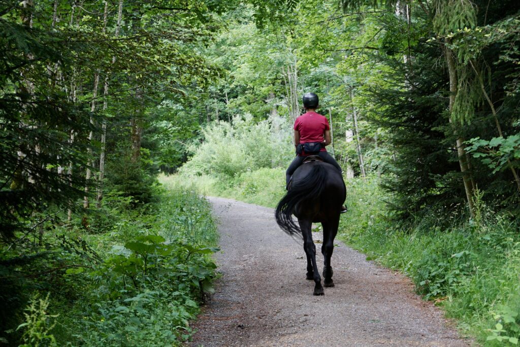 Horseback riding tour Best tours from Siena