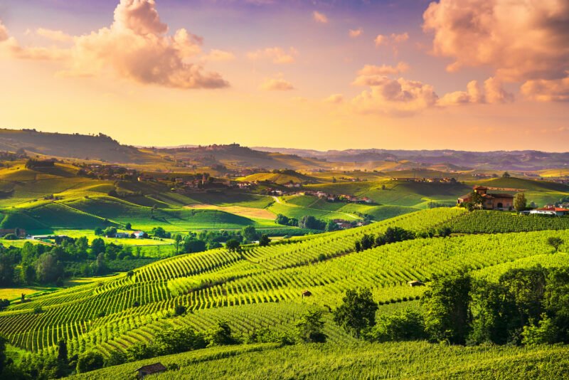 Wine Travel In Italy: An Insider Guide