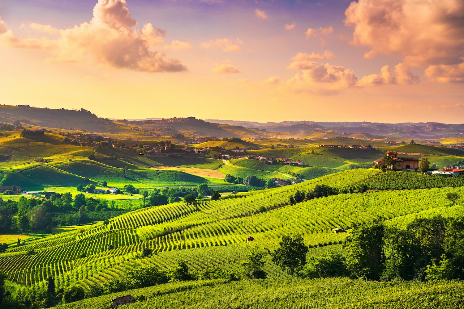 Wine Travel In Italy: An Insider Guide