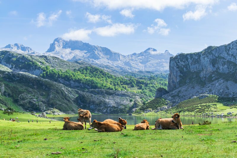 Picos De Europa Hiking And Spa Private Tour From Santander, Unquera, Panes And Torrelavega