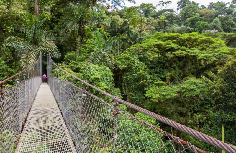 Arenal Hanging Bridges Tour From La Fortuna & Arenal_4