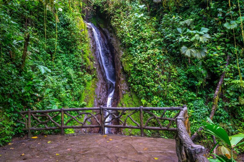 Arenal Hanging Bridges Tour From La Fortuna & Arenal