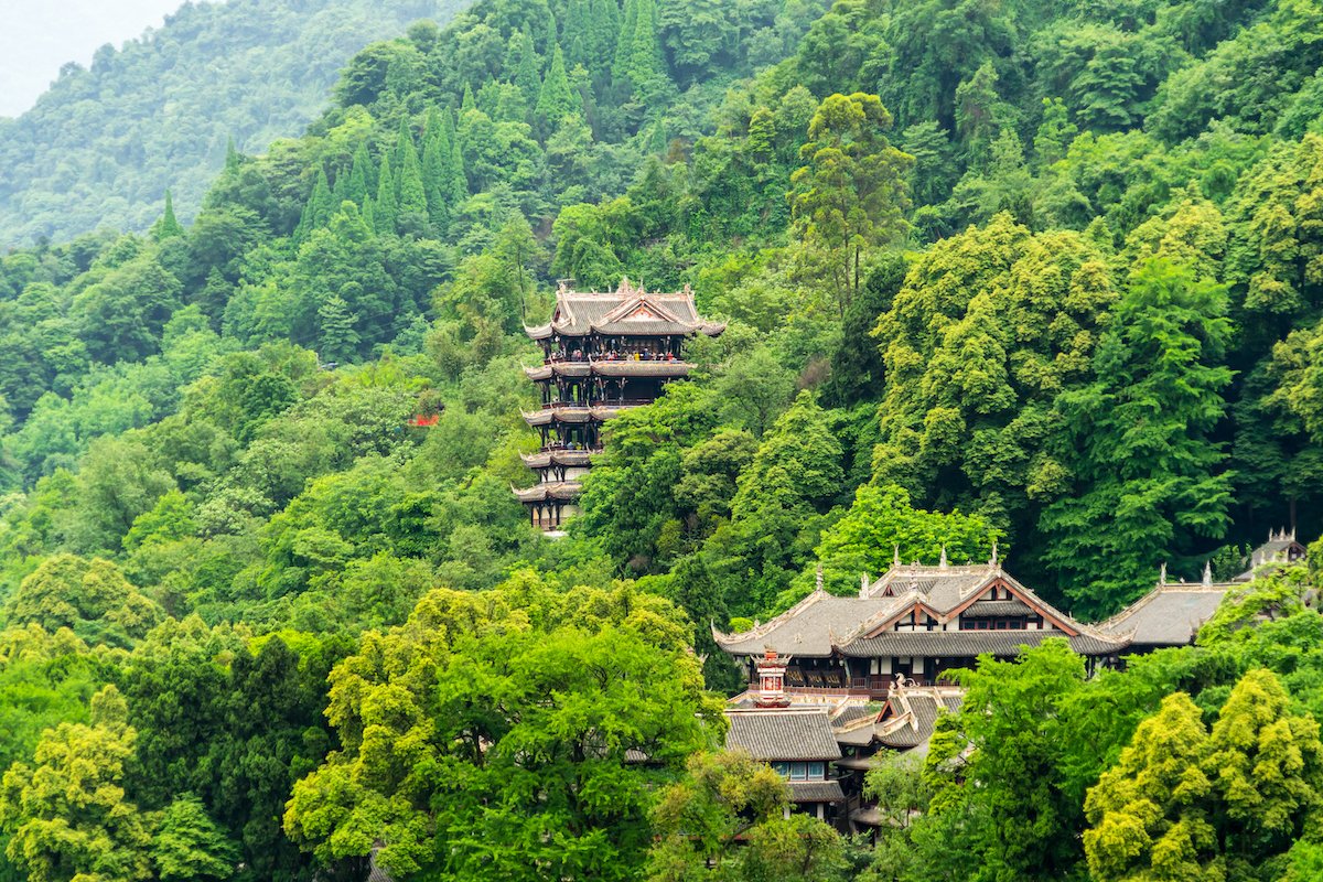 Chengdu Panda Base & Mount Qingcheng Tour 1