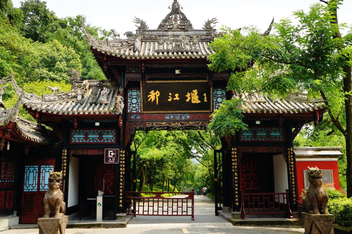 Chengdu Panda Base & Mount Qingcheng Tour 6
