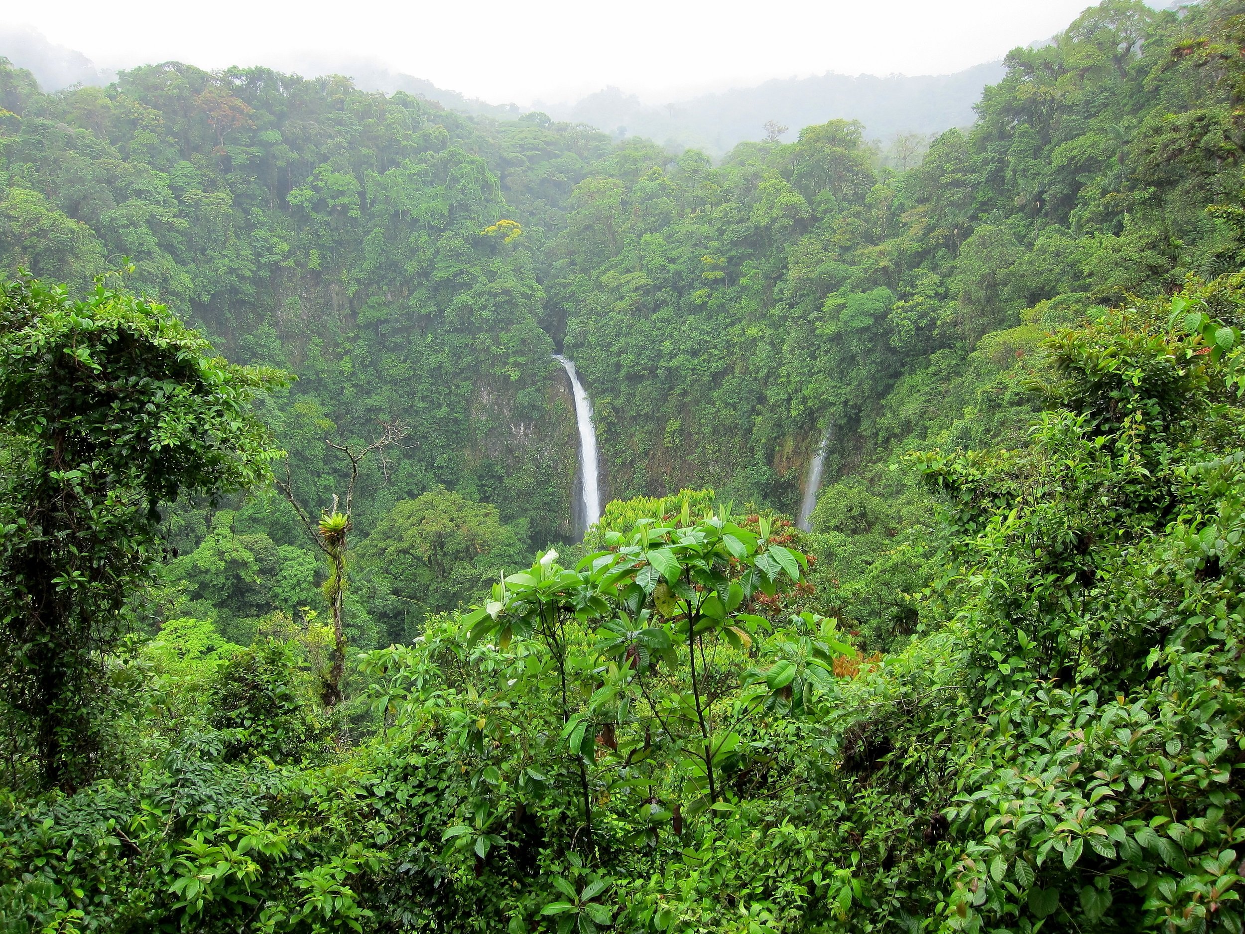 La Fortuna Waterfall and Arenal Volcano Hiking Tour from La Fortuna ...