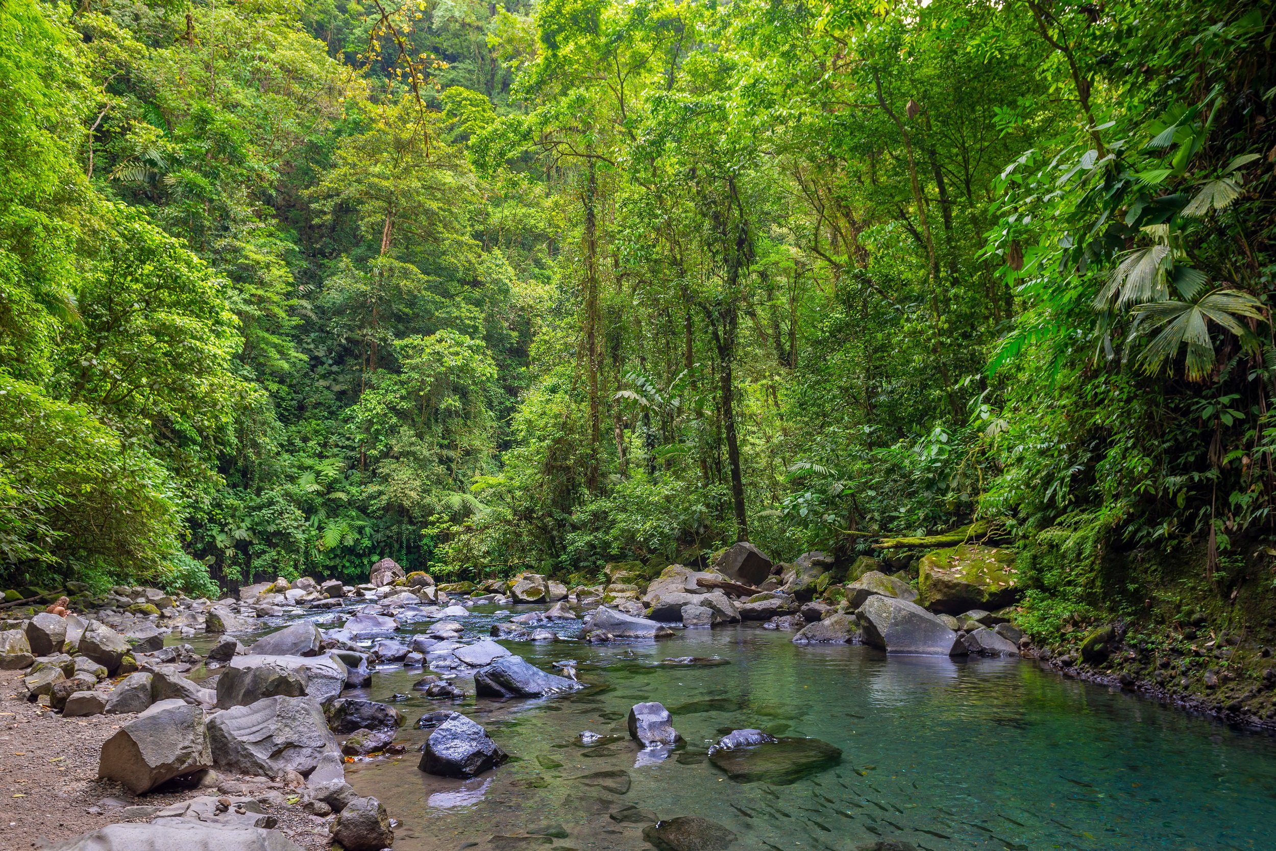Peñas Blancas River Safari And La Fortuna Waterfall Tour From La Fortuna & Arenal