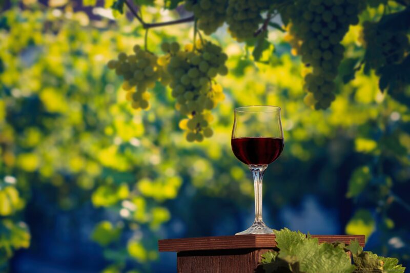 Visit A Local Winery On Our Siena 5 Day City Break Tour Package
