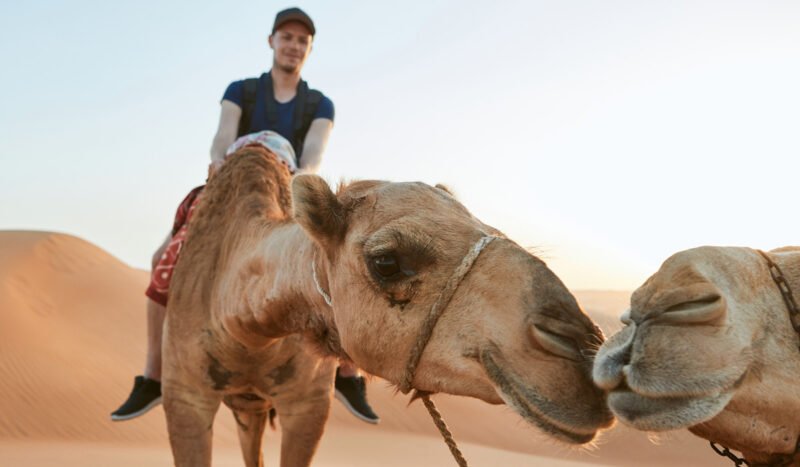 Lahab Desert Safari, Camel Ride, Quad Experience & Private Beach Access At Palm Jumeirah From Dubai_101_3