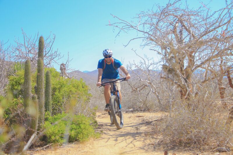 Baja Desert Mountain Bike Tour From Los Cabos_54 (1)