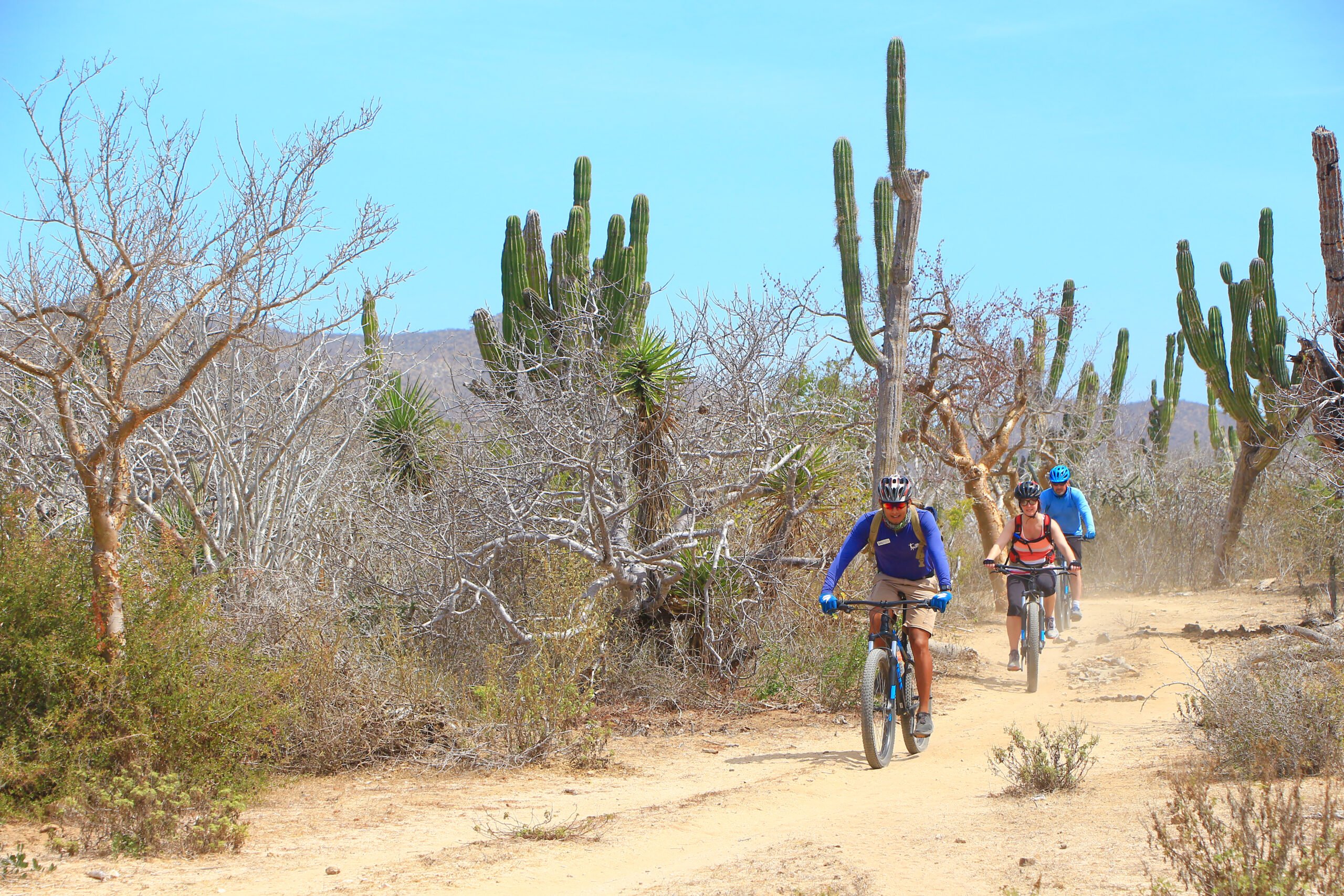 Baja Desert Mountain Bike Tour From Los Cabos_54 (2)