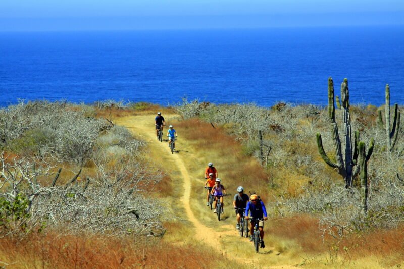 Baja Desert Mountain Bike Tour From Los Cabos_54 (5)