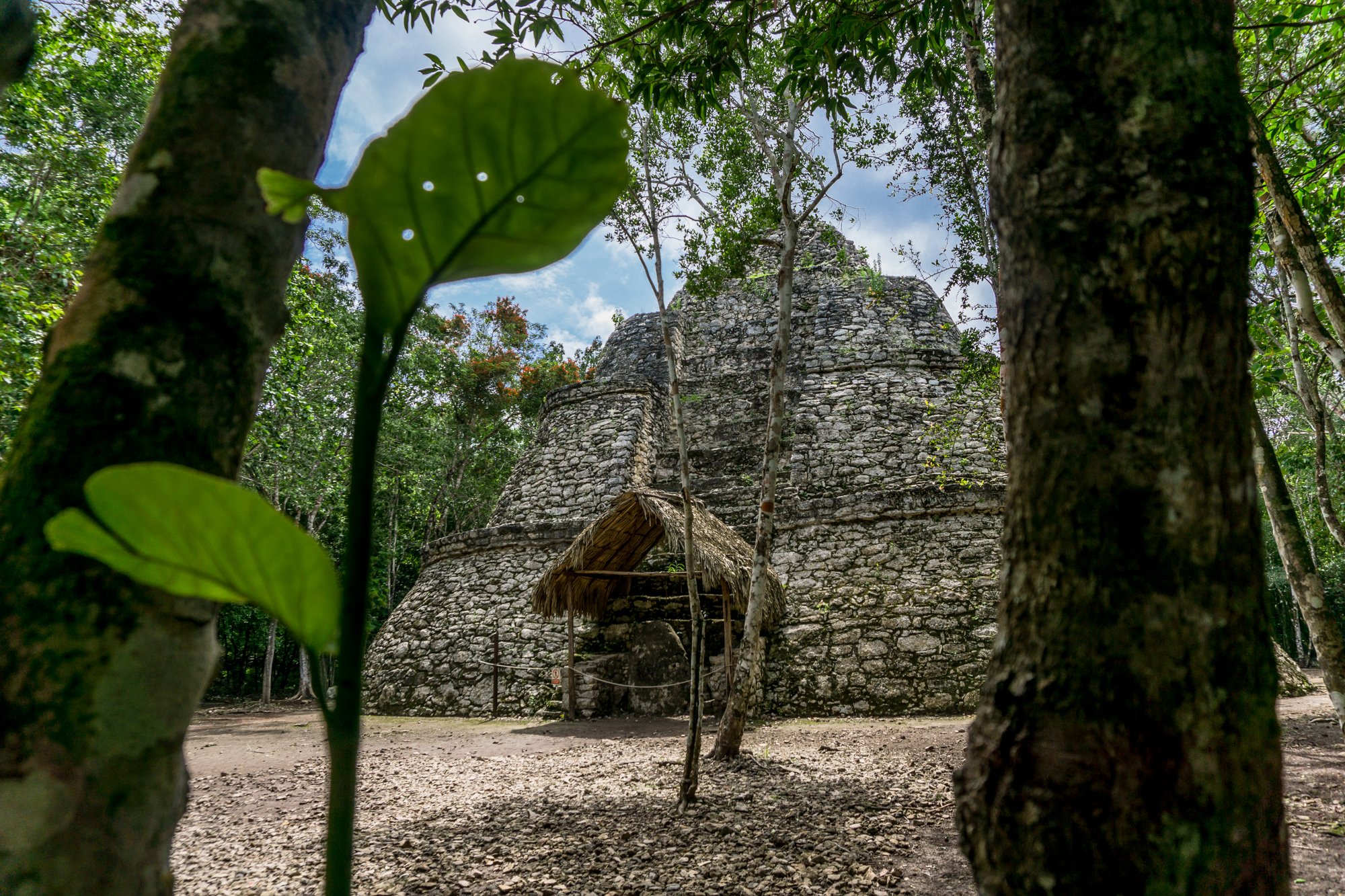 Mayan Culture, Coba & Punta Laguna Tour From The Riviera Maya_129 (1)