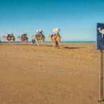 Mexican Outback Tour & Camel Safari From Los Cabos_54 (6)