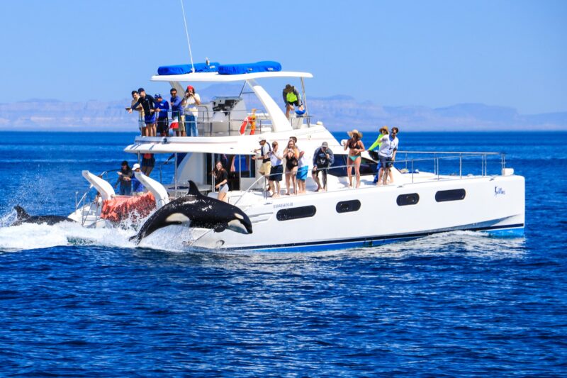 Sail Along Los Cabos Coastline On Our 6 Day Secrets Of Los Cabos Tour Package