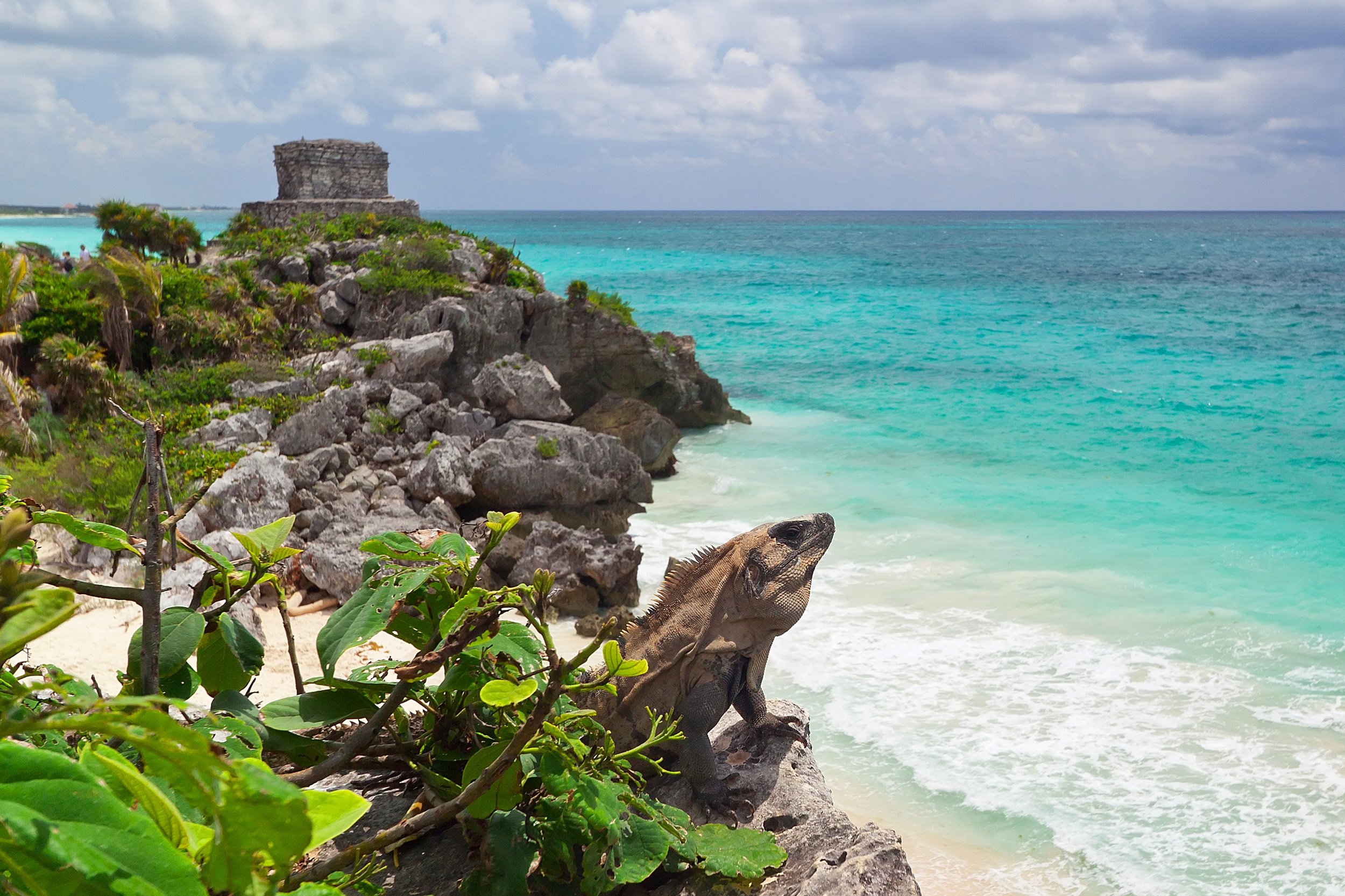 Tulum Culture & Jungle Adventure Tour From The Riviera Maya