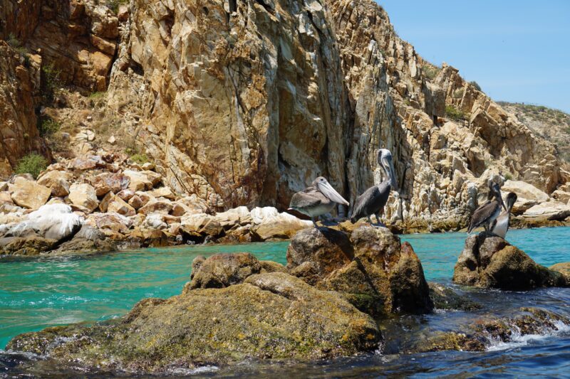 Scenic Los Cabos On Our Lands End Deluxe Sunset Cruise From Los Cabos