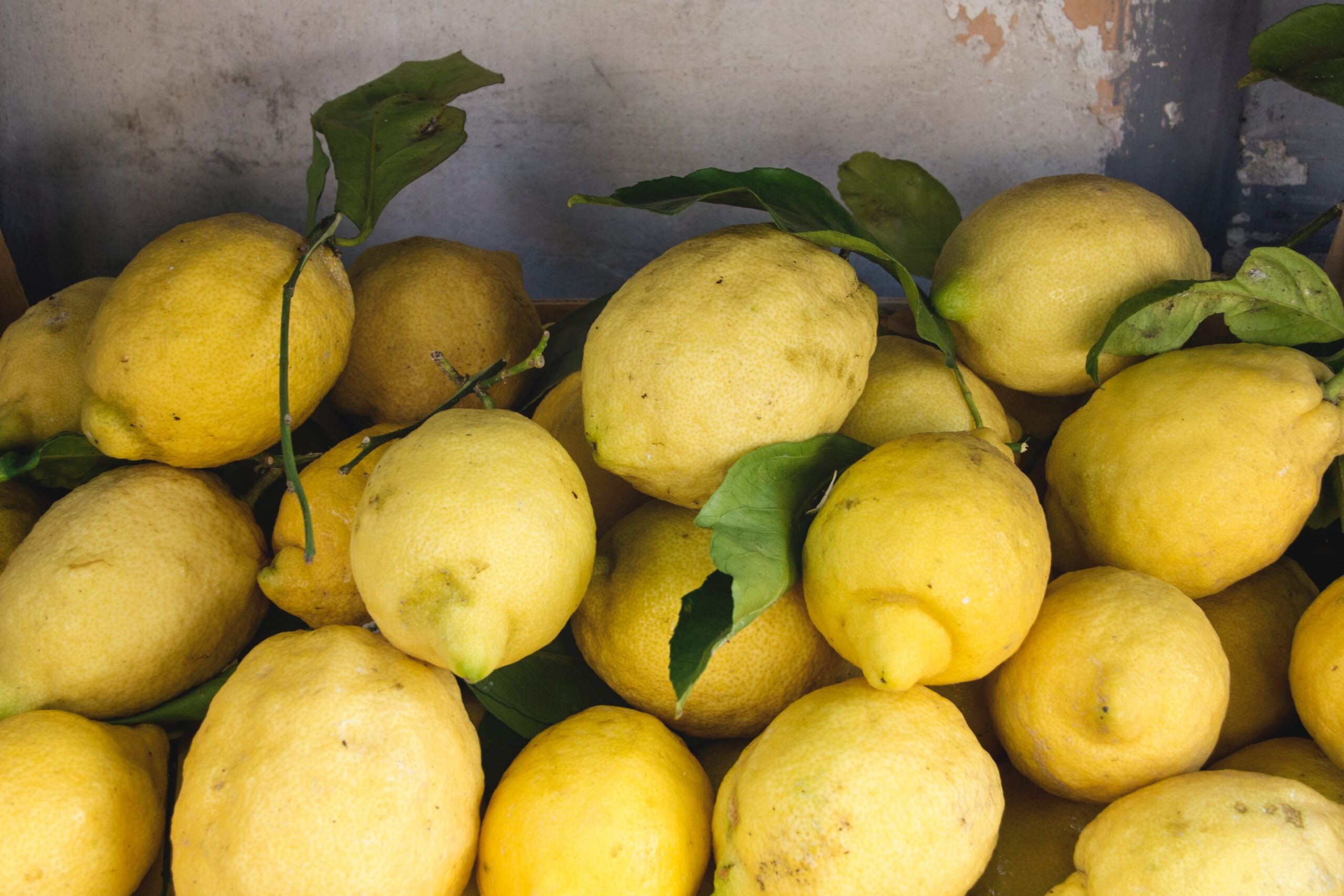 Sorrento Lemons - Private Cooking Class With A Local In Sorrento