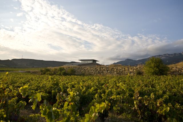 La Rioja Winery Tour From San Sebastian